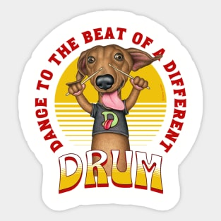 Fun Doxie Dog playing the drums on Dachshund with Drum Sticks tee Sticker